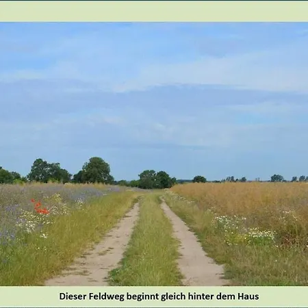 Gruene Idylle * Borrentin