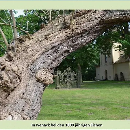 Grüne Idylle Borrentin