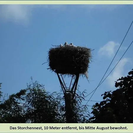 Gruene Idylle Apartman