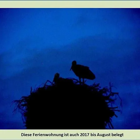 Gruene Idylle Apartman Borrentin