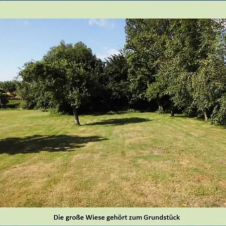 Grüne Idylle Borrentin