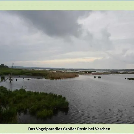 Grüne Idylle Apartment Borrentin
