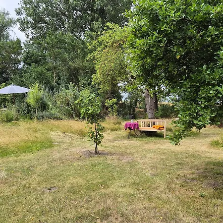 Gruene Idylle * Borrentin