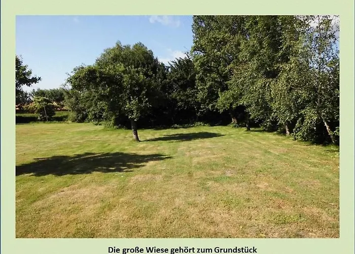 Grüne Idylle Borrentin