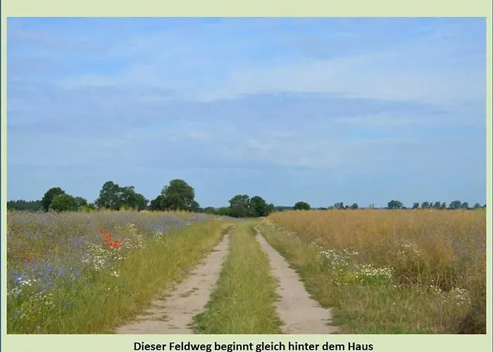 Grüne Idylle * Borrentin