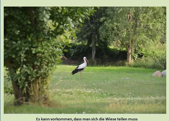 Grüne Idylle Apartment Borrentin