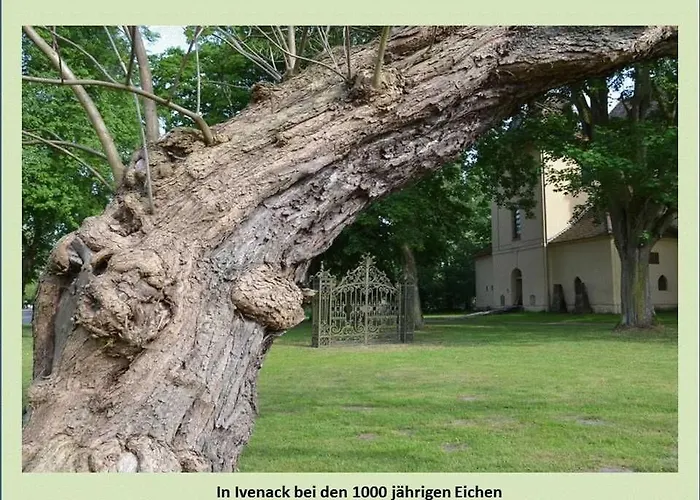Grüne Idylle Borrentin