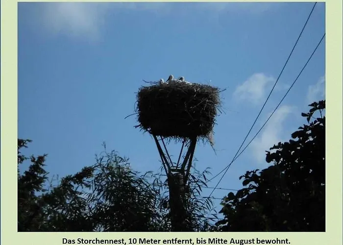 Grüne Idylle Apartment