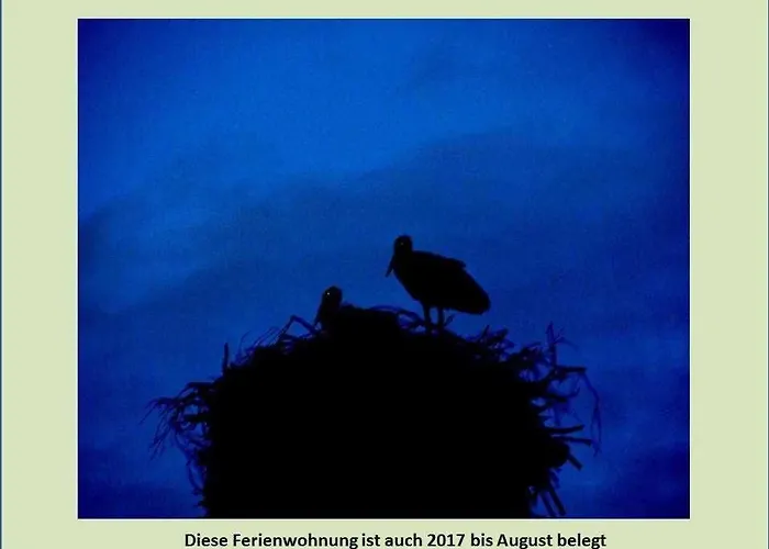 Grüne Idylle Apartment Borrentin